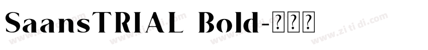 SaansTRIAL Bold字体转换